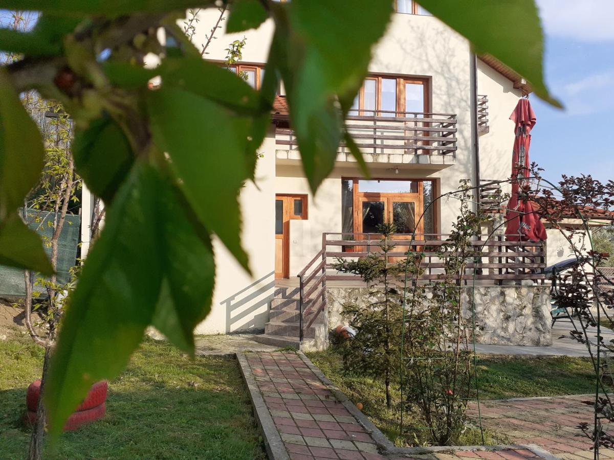 Pensiunea Montedoro Sărata-Monteoru Exterior foto